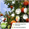 thumbnail image 3 of Discos repelentes: proteja su casa y su jardín a prueba de pájaros con reflectores colgantes para disuadir a los pájaros Afortunado Sencillez, 3 of 4