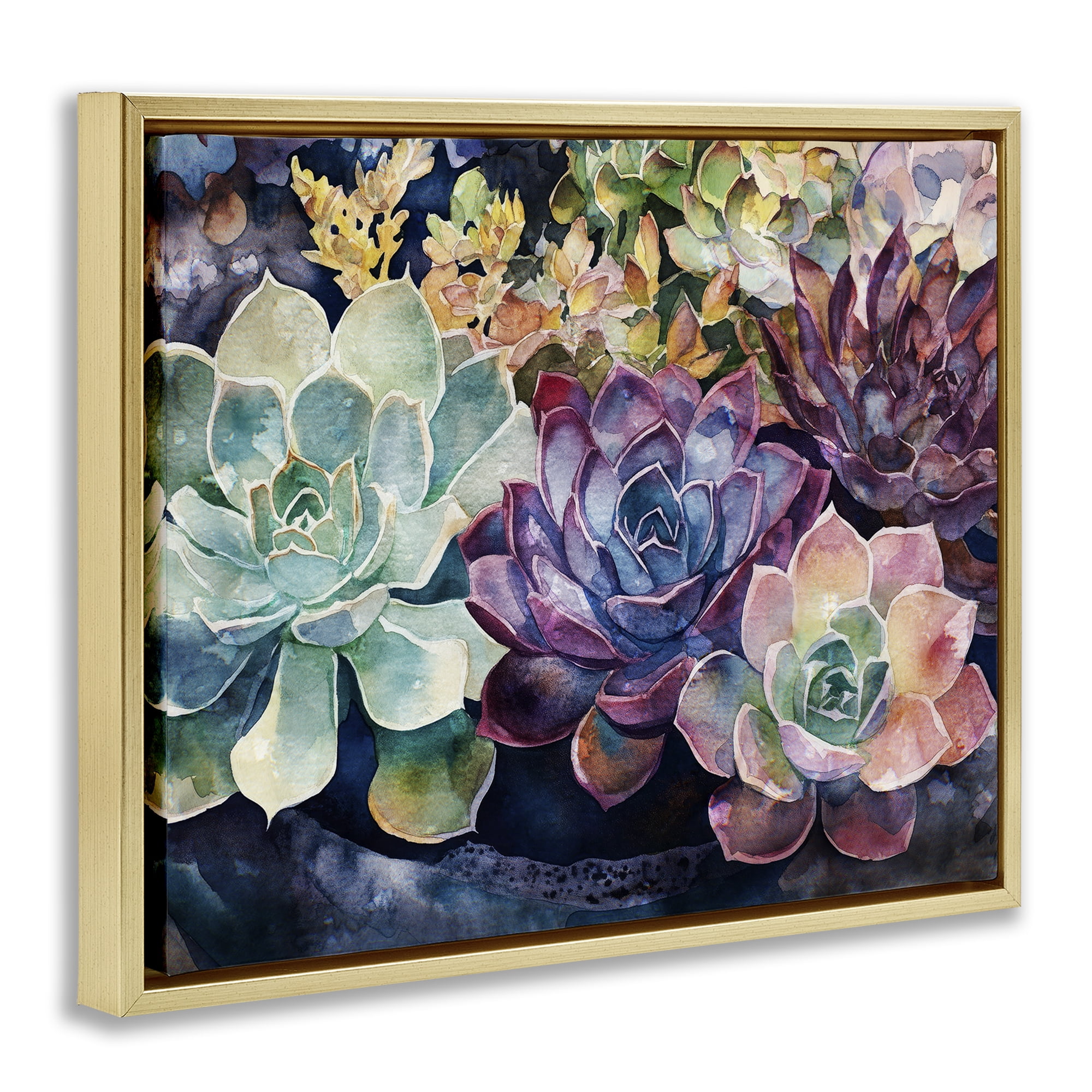 Stupell Industries Tutti Succulents Collection Gold Framed Floater Canvas Wall Art, design by Svetlana Aleynikova