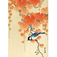 thumbnail image 2 of Koson, Ohara 14x18 Black Ornate Wood Framed with Double Matting Museum Art Print Titled - Great tit on paulownia branch, 2 of 4