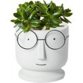 thumbnail image 1 of Macetas creativas con forma de cara para plantas, macetas de cactus para decoración de bodas, hogar, oficina, macetas de cemento, macetas pequeñas de cerámica para suculentas, color blanco y gris,, 1 of 5