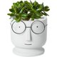 thumbnail image 1 of Macetas creativas con forma de cara para plantas, macetas de cactus para decoración de bodas, hogar, oficina, macetas de cemento, macetas pequeñas de cerámica para suculentas, blanco y, 1 of 5
