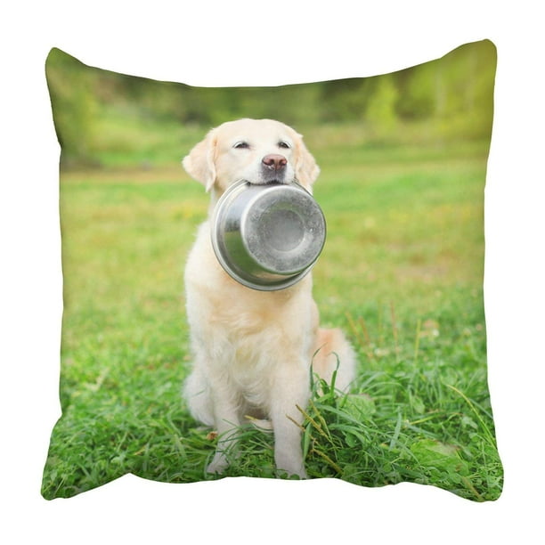 golden retriever throw pillow