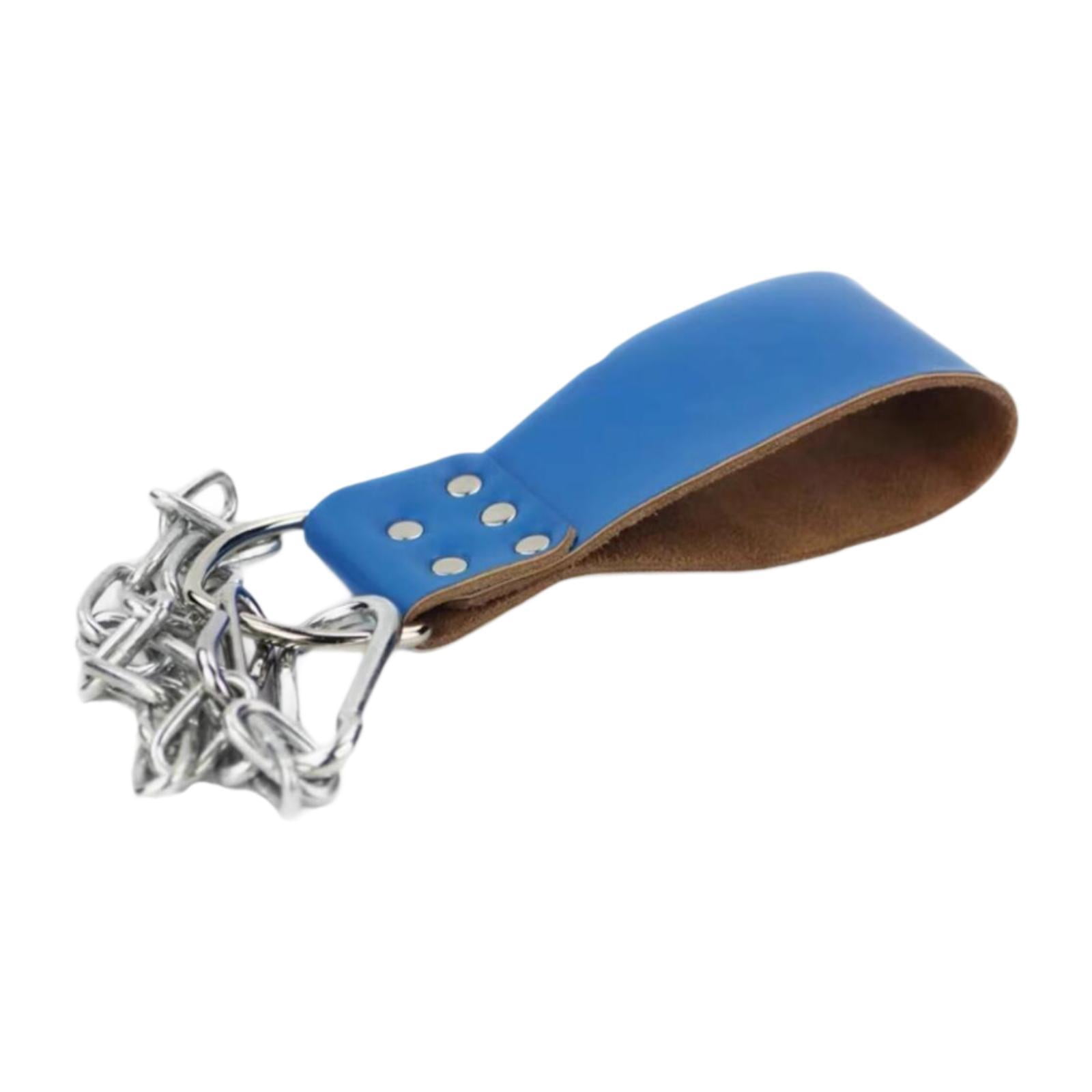 Baoblaze Dumbbell Loading Strap with Chain Waist Belt Attachment for Women Bodybuilding Blue