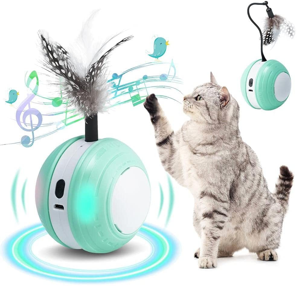 self moving cat ball