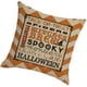 thumbnail image 2 of Advancent Funda de almohada decorativa, decoración de Halloween, funda de almohada acogedora con patrón de calabaza, funda de cojín cuadrada para sofá, Decoración del hogar siete SXYM42 Advancent HA060851-07B, 2 of 6