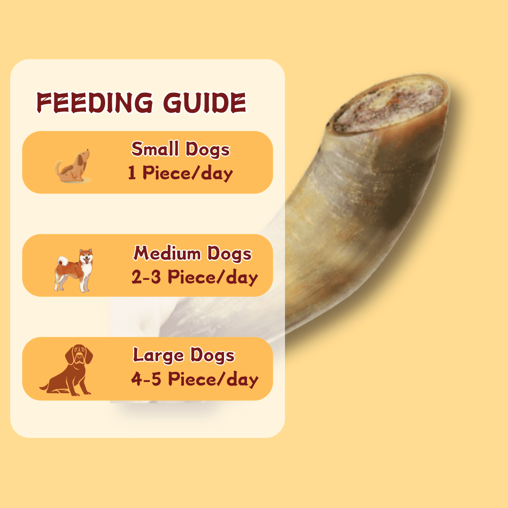 Tender Touch All-Natural Ox Horn for Dogs, A Whole and Hearty Single Ingredient Chew for Dental Care and Hours of Entertainment, 3-Count