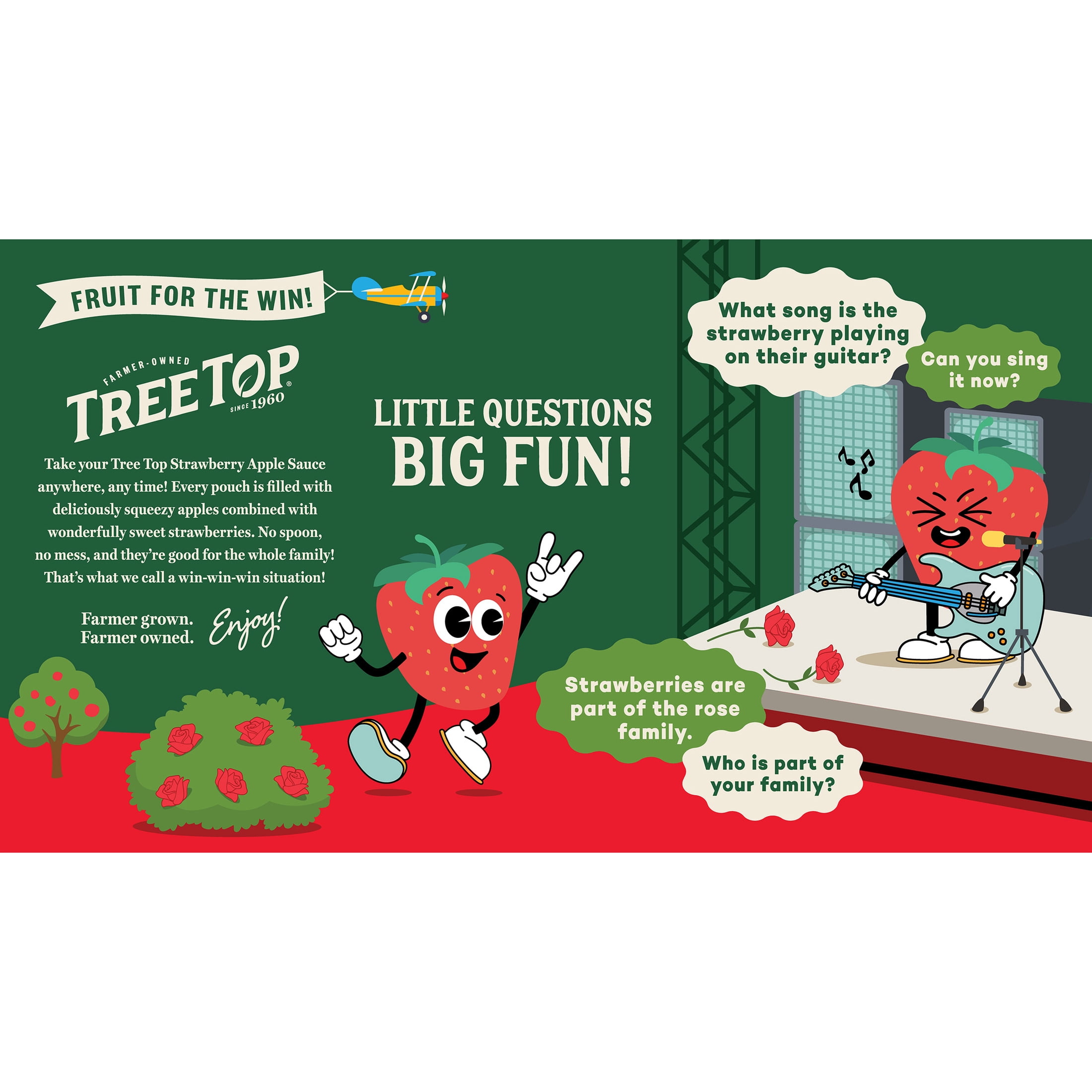 (4 pack) Tree Top Apple Sauce Pouches, Strawberry, 3.2 Oz, 12 Count
