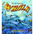thumbnail image 1 of Pre-Owned The Life Cycle of a Whale (Hardcover) 0778706532 9780778706533, 1 of 1