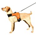 thumbnail image 3 of New K-shaped Luminous LED Harness For Pet Dog Chest Harness For Medium And Large Dogs Night Travel, 3 of 7