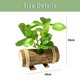thumbnail image 2 of Macetas de madera creativas, simulación de plantas verdes, bonsái, artículos para el hogar, pequeños adornos, simulación de plantas, hojas impresas en seda., 2 of 5