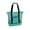 Green, variant on Ludlz Mesh Beach Tote Bag with Insulated Cooler Bag Large Capacity Waterproof Portable Food Picnic Storage Bag
