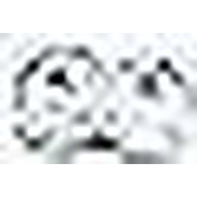 Spool Clear 1mm Elastic Stretch Thread for Bead Jewellery Crafts