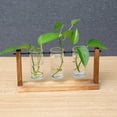 thumbnail image 1 of kurtrusly Glass Tube Vase Flower Pot Planter Propagation Terrarium Home, 1 of 8