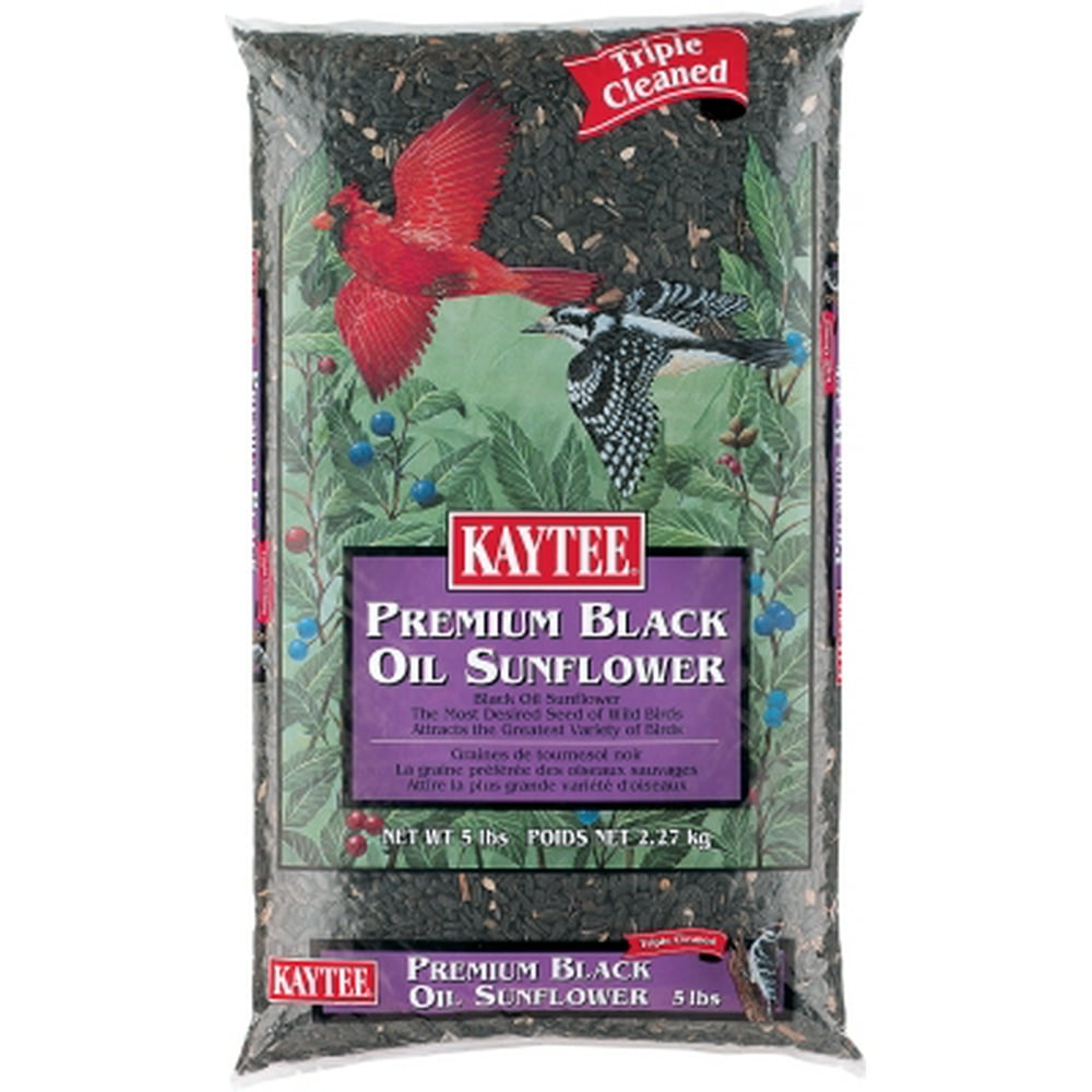 Kaytee 100033658 Black Oil Sunflower Bird Seed, 5 lb