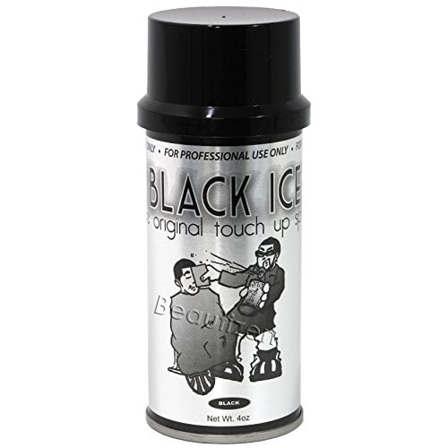 Black Ice the Original Touch Up Spray, 4 oz