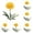 D, variant on Artificial Chrysanthemum Flowers Pick Pom Pom Blooms Stems for Wedding Centerpieces Home Spring Floral Arrangements and Event Decor