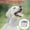 2pcs-L, variant on ruhuadgb 2Pcs XS Pet Scarf Collar, Adjustable Fasten Tape Breathable Comfortable Neck Wear Anti-licking EVA Dog Post Surgery Wound Healing Protective Collar Pet Supplies-Grey
