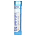 thumbnail image 4 of Boiron Ignatia Amara 6C Homeopathic Single Medicine For Stress & Sleep 1 Tube Pellet, 4 of 6