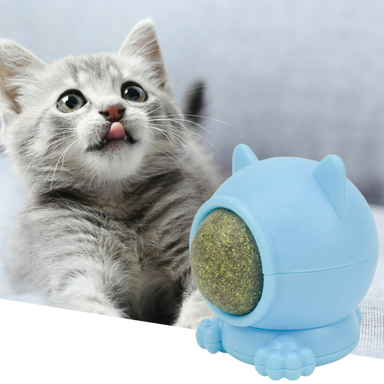 Petdiary Tumbler Interactive Cat Toy, Cat Treat Puzzle Toy, Cat Treat  Dispenser Toy Cat Toy Ball 