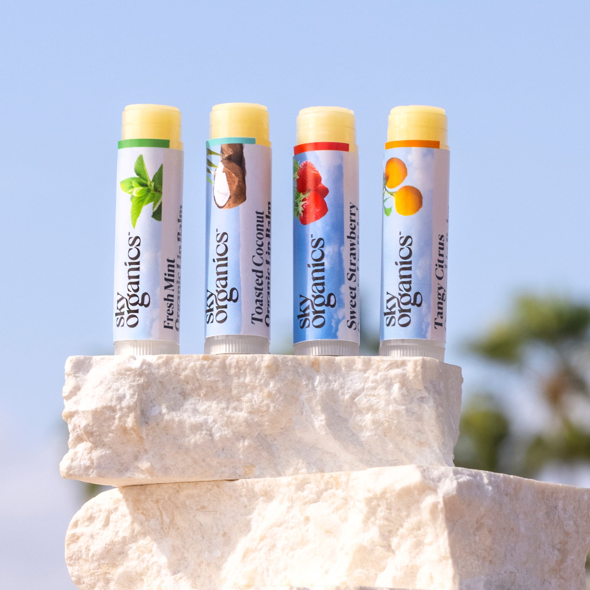 Sky Organics Organic Beeswax Lip Balm, Citrus, Strawberry, Mint, and Coconut, 4 Pack