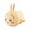 Usagi, variant on FlareFable Lovely Chiikawa Plush Toys, 11.81" Character Hachiware Stuffed Animals, Soft & Huggable Hachiware Plushies - Sleeping Companion, Home Decorations, Perfect Halloween Christmas Gifts