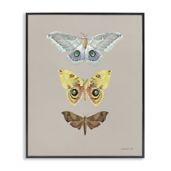 Stupell Industries Minimalist Vintage Moth Species Black Framed Giclee Art, 11 x 14, by Danhui Nai