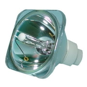 Lutema Economy Bulb for ViewSonic PJ506D Projector (Lamp with Housing)