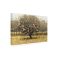 thumbnail image 2 of James Wiens 'Golden Trees I Taupe' Canvas Art, 2 of 3