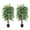 4fth 2pcs, variant on Accreate Set of 2 Artificial Ficus Trees with 420 Flat Leaves and Dual Trunks, Realistic Faux Greenery in Black Pots for Home, Office, or Living Room Decor