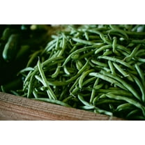 Seed Pack - Kentucky Wonder Bush Bean Seeds -High Yields-100 Seeds  -No Staking! Also Known as Commodore