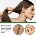 thumbnail image 2 of Rosemary Oil Nourishes, Repairs, Improves Split Ends, Cares Compatible With Hair, Eliminates Itchy And Dry S, 2 of 2