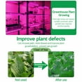thumbnail image 4 of Xiyztok - Tira de luz LED solar para cultivo (5 m, 5 W, espectro completo, flexible, para interior, luz natural), 4 of 8