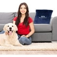 Pets First NFL Seattle Seahawks Pet Pillow
