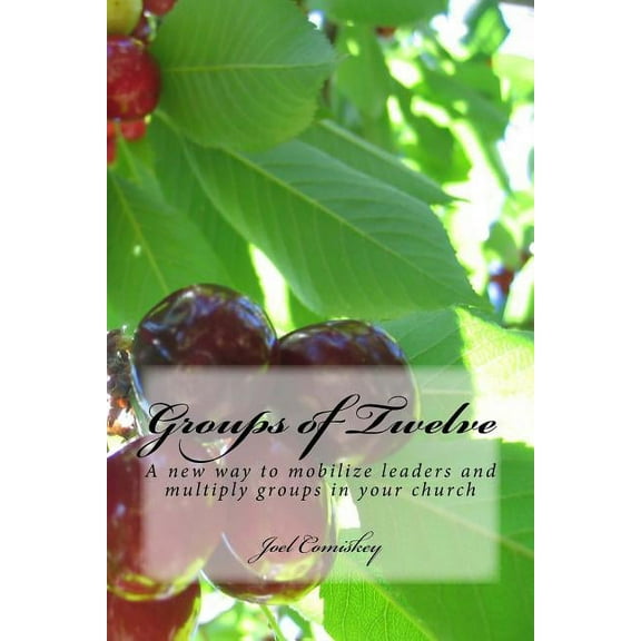 Groups of Twelve : A new way to mobilize leaders and multiply groups in your chur (Paperback)