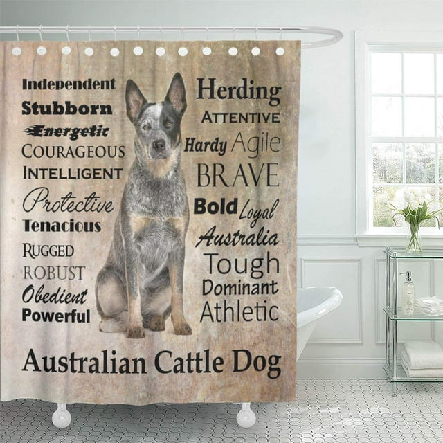 CYNLON Pet Australian Cattle Dog Breed Personality Bathroom Decor Bath Shower Curtain 60x72 inch