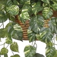 thumbnail image 3 of HomeStock Medieval Majesty Hanging Basket Silk Plant, 3 of 10