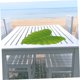 thumbnail image 4 of BESTYASH 6Ud Manteles De Hojas Artificiales Para Fiesta Hawaiana Y De, 4 of 8