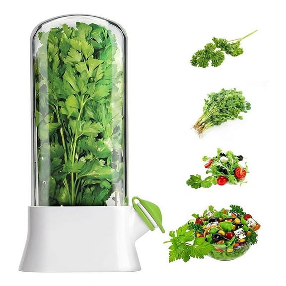 Fresh Herb Keeper For Refrigerator,Space Saving Cilantro Container Fridge - Saver Cilantro, Mint Asparagus
