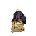 thumbnail image 2 of Fall Decor Kitchen Animal Lover Two Sided Ornament,Funny Car Hanging, 2 of 5
