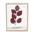 thumbnail image 4 of Marco de fotos de muestra de planta de vidrio de doble cara creativo de madera Marco de fotos estereoscópico de color de registro Marco de fotos de madera transparente, 4 of 5
