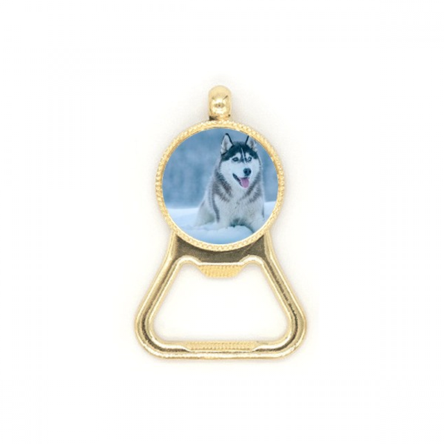Dog Animal Snow Husky Picture Beer Bottle Cap Opener Stainless Steel Key Chain
