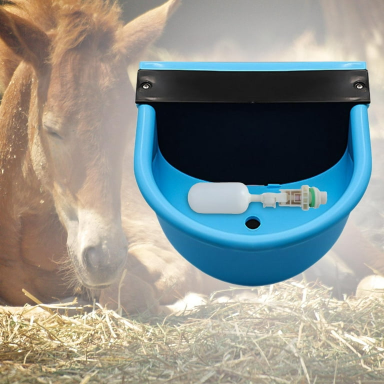 Automatic water feeder for horses 2025