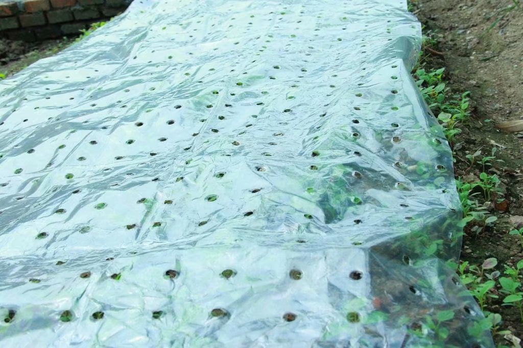 Grow Tunnel Within Support Hoops Frost Protection Cover RowTunnel