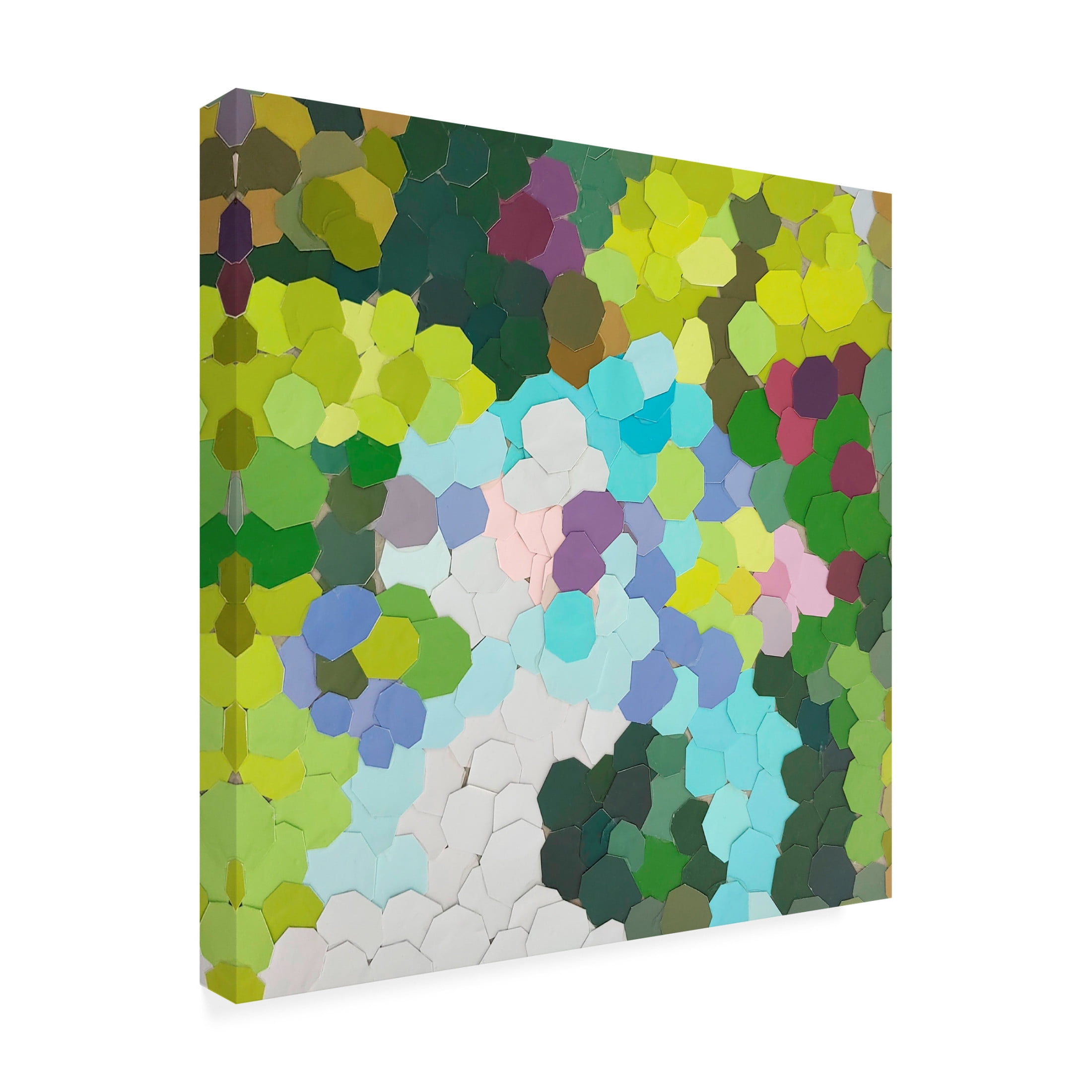 Canvas Wall Art - Coco Good 'Fruit Orchards Kona Hawaii I' Wall Art for Living Room, Bedroom, or Office Décor by Trademark Fine Art - 24 x 24 Inches