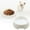 B, variant on Pet Supplies Round Pet Bowl Set for Everyday Feeding Lightweight Affordable Dishes for Cats and Dogs in Blue and White