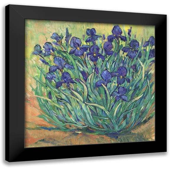 OToole, Tim 12x12 Black Modern Framed Museum Art Print Titled - Irises in Bloom I