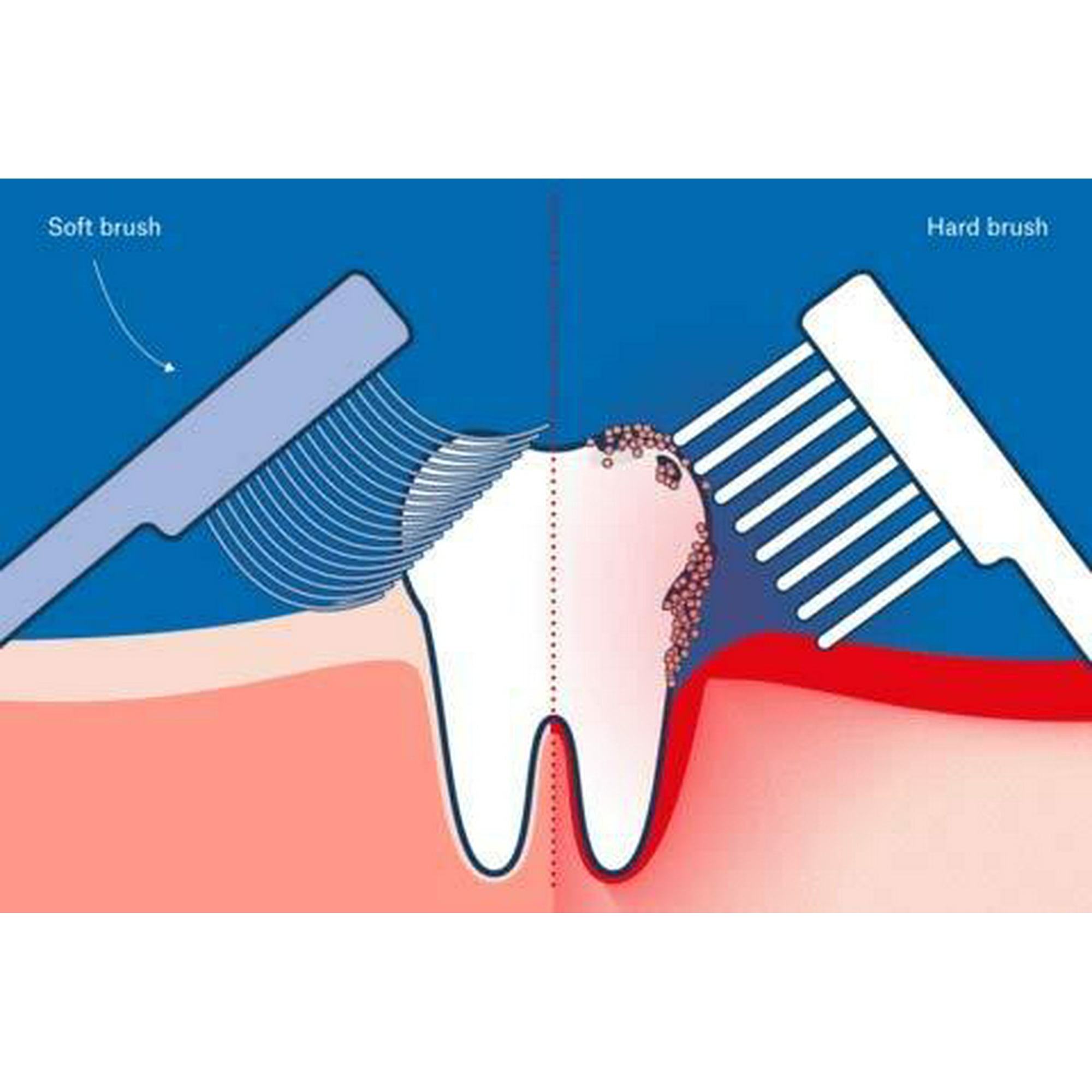 Curaprox Extra Soft Toothbrush for Adults and Children