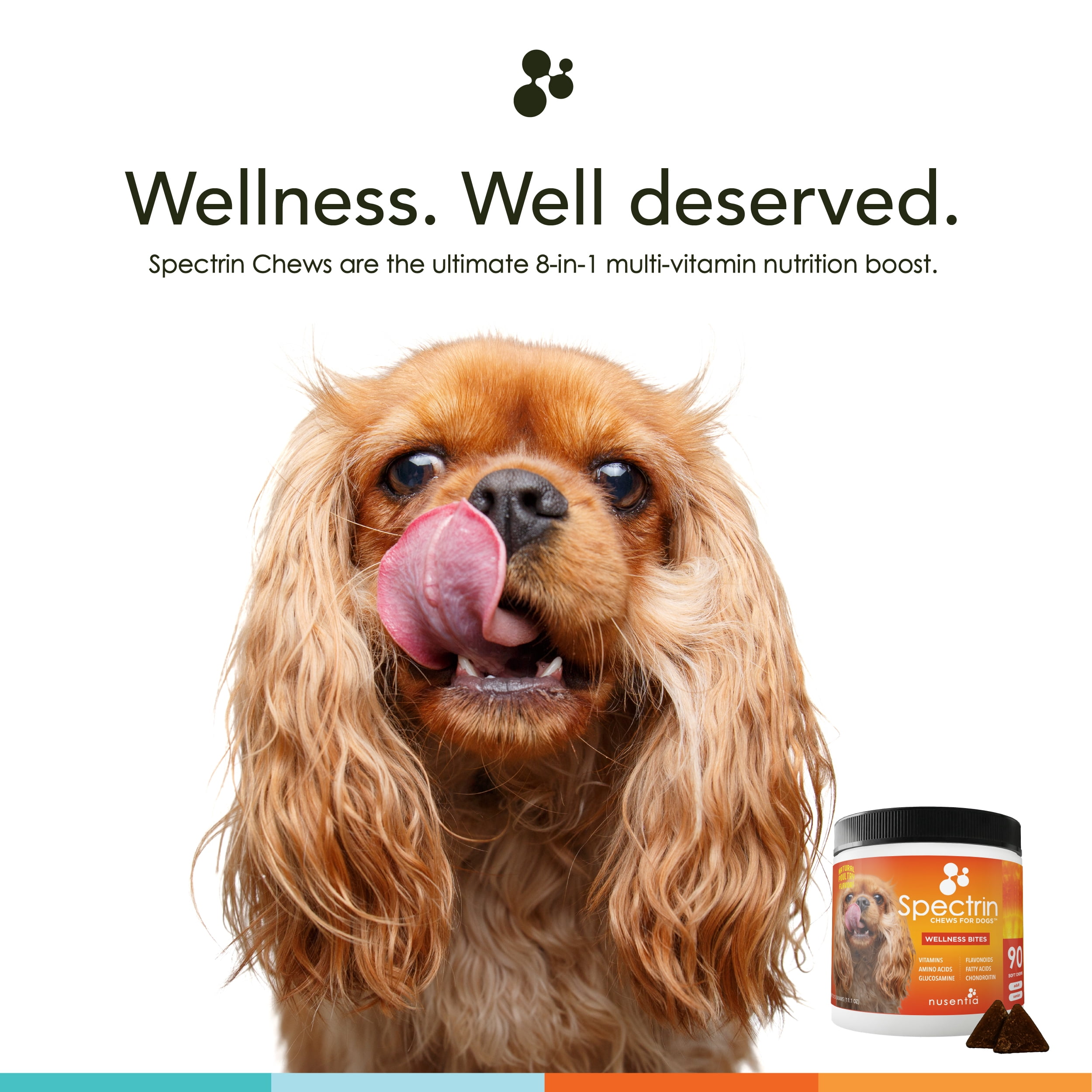 Vitamin Treats with Glucosamine for Dogs : Spectrin Soft Chews (90 CT) :  Hip & Joint Support + Antioxidants