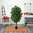 thumbnail image 5 of Nearly Natural 5.5' Ficus Artificial Tree, 5 of 7