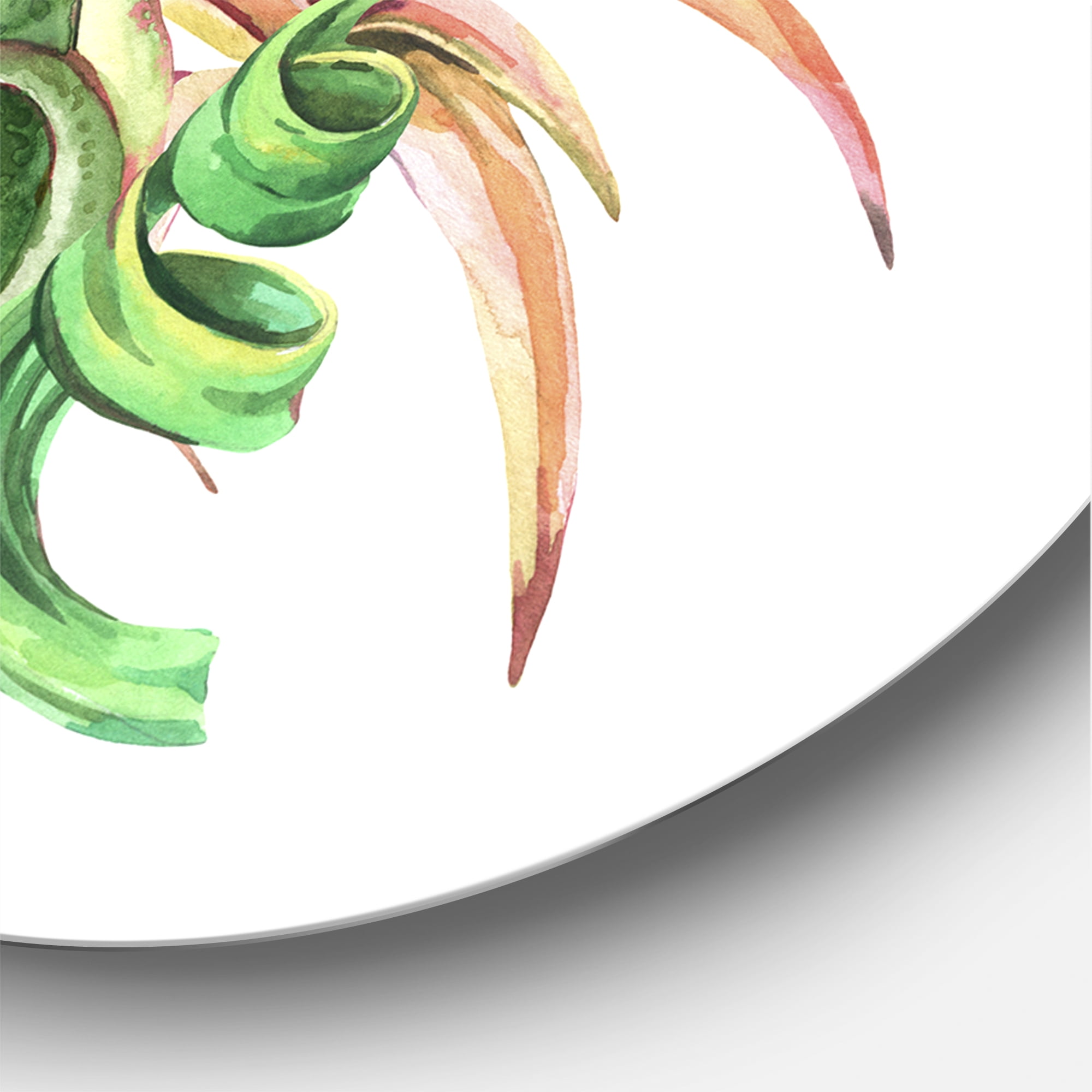 Designart 'Tropical Leaves Air Plant Succulent On White' Farmhouse Circle Metal Wall Art 11x11 - Disc of 11